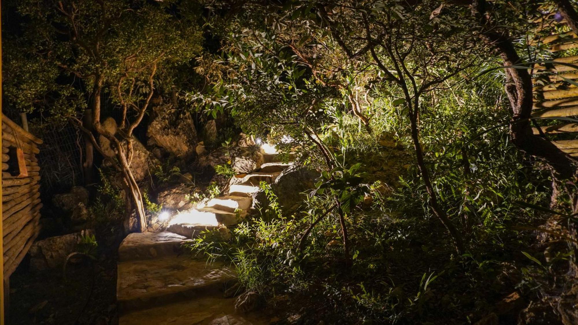 Vila Flor - Chapada Dos Veadeiros Alto Paraíso de Goiás Dış mekan fotoğraf